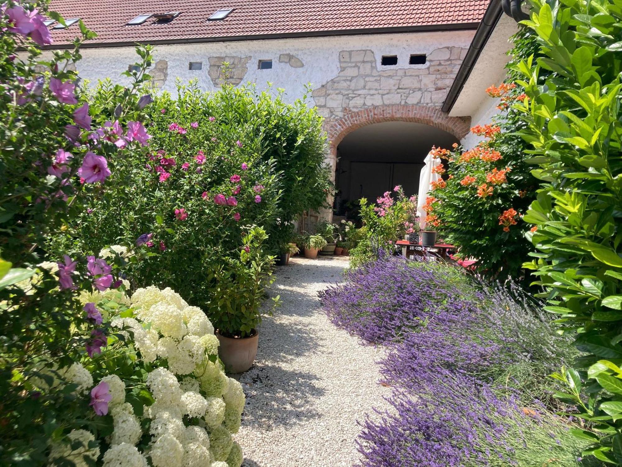 Haus Diogenes Apartment Morbisch am See Bagian luar foto